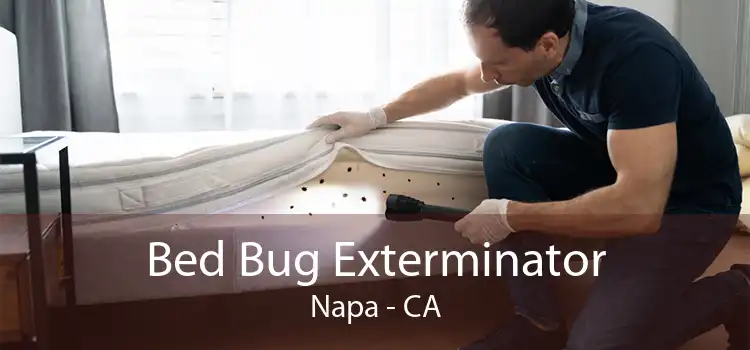 Bed Bug Exterminator Napa - CA