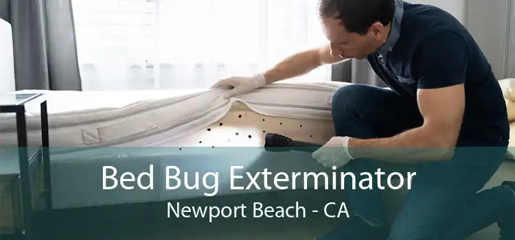 Bed Bug Exterminator Newport Beach - CA
