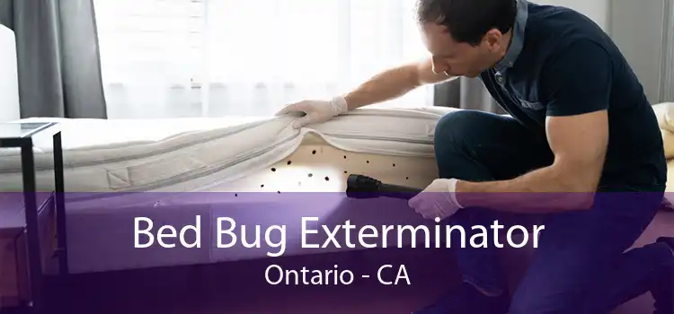 Bed Bug Exterminator Ontario - CA