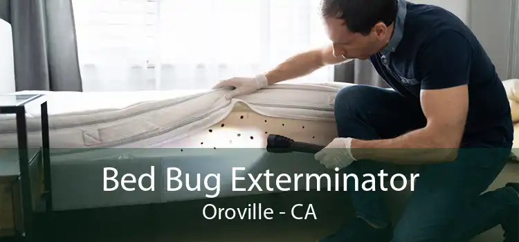 Bed Bug Exterminator Oroville - CA