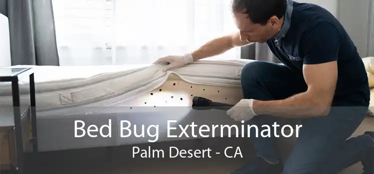 Bed Bug Exterminator Palm Desert - CA