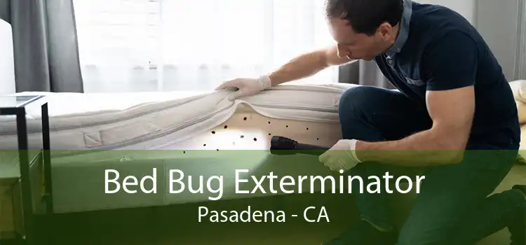 Bed Bug Exterminator Pasadena - CA