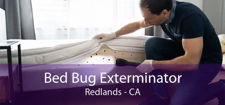 Bed Bug Exterminator Redlands - CA