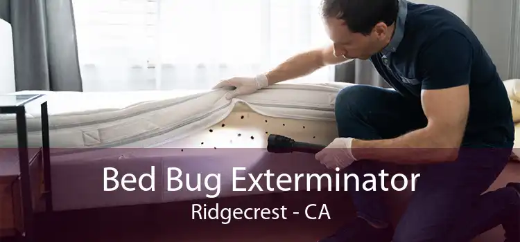 Bed Bug Exterminator Ridgecrest - CA
