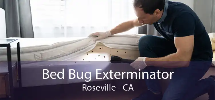 Bed Bug Exterminator Roseville - CA