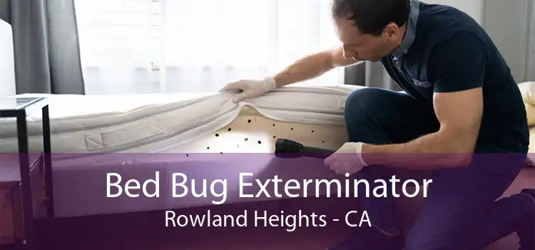 Bed Bug Exterminator Rowland Heights - CA