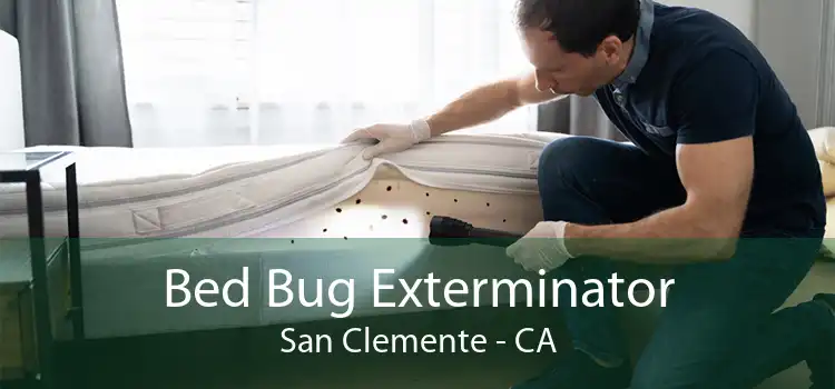 Bed Bug Exterminator San Clemente - CA