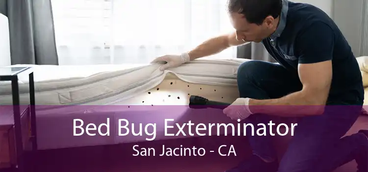 Bed Bug Exterminator San Jacinto - CA