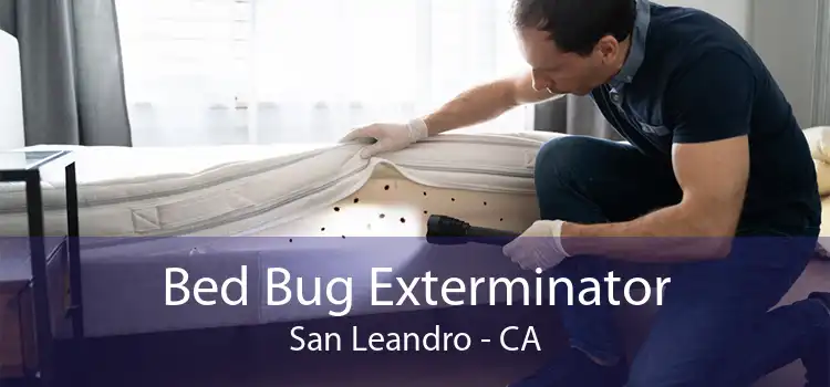 Bed Bug Exterminator San Leandro - CA