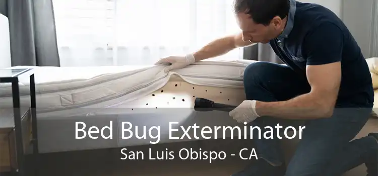 Bed Bug Exterminator San Luis Obispo - CA