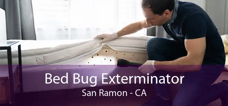 Bed Bug Exterminator San Ramon - CA