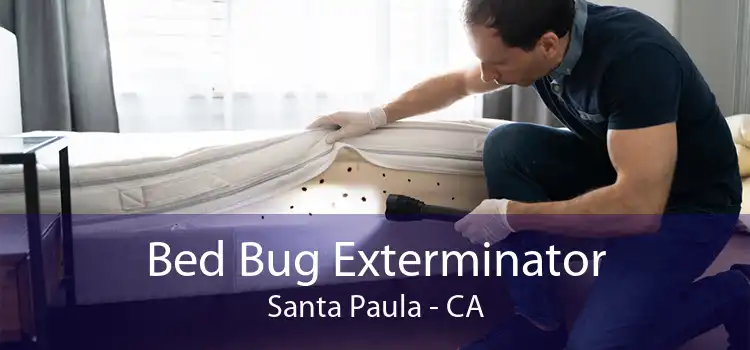 Bed Bug Exterminator Santa Paula - CA