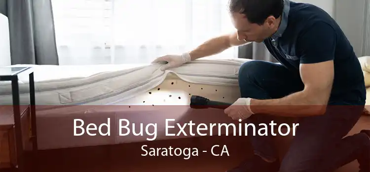 Bed Bug Exterminator Saratoga - CA
