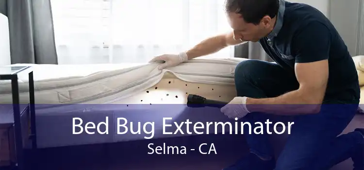 Bed Bug Exterminator Selma - CA