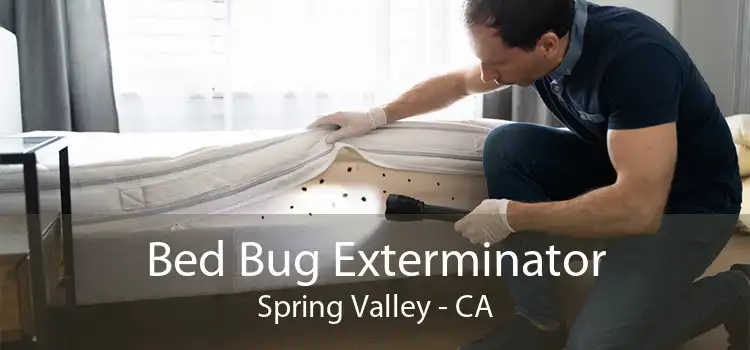 Bed Bug Exterminator Spring Valley - CA