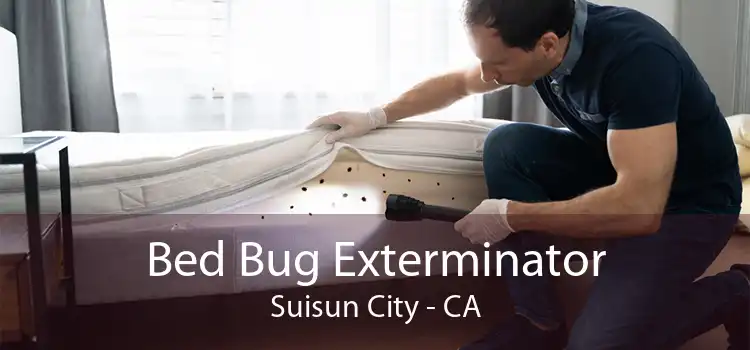 Bed Bug Exterminator Suisun City - CA