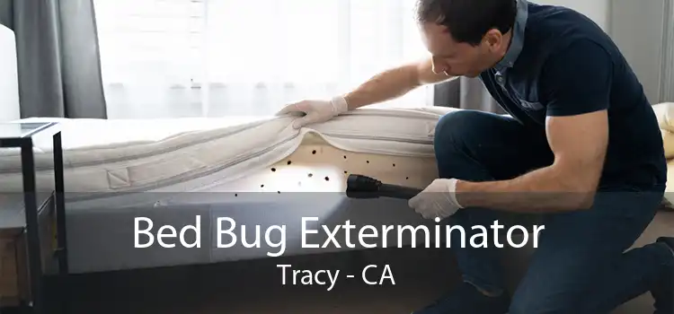 Bed Bug Exterminator Tracy - CA