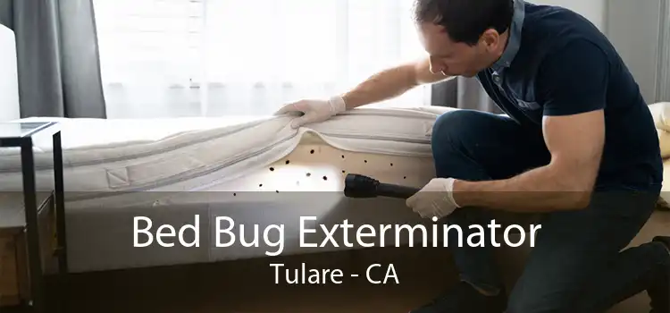 Bed Bug Exterminator Tulare - CA