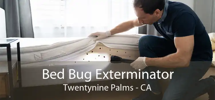 Bed Bug Exterminator Twentynine Palms - CA