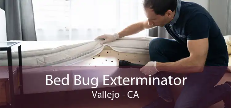 Bed Bug Exterminator Vallejo - CA