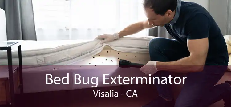 Bed Bug Exterminator Visalia - CA