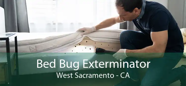 Bed Bug Exterminator West Sacramento - CA