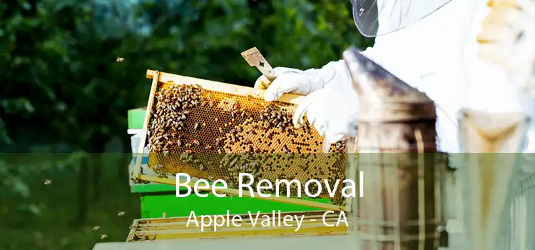 Bee Removal Apple Valley - CA