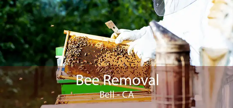 Bee Removal Bell - CA