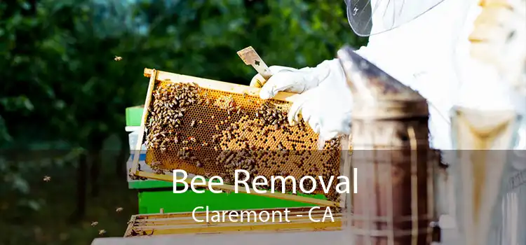 Bee Removal Claremont - CA