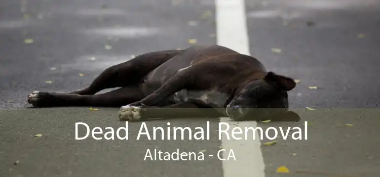 Dead Animal Removal Altadena - CA