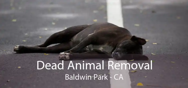 Dead Animal Removal Baldwin Park - CA