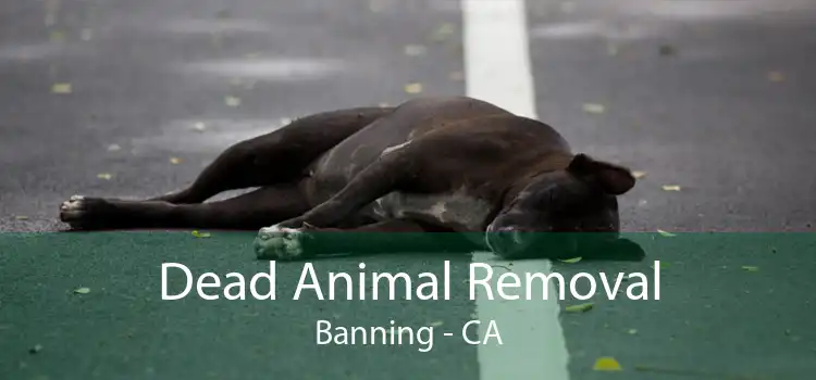 Dead Animal Removal Banning - CA