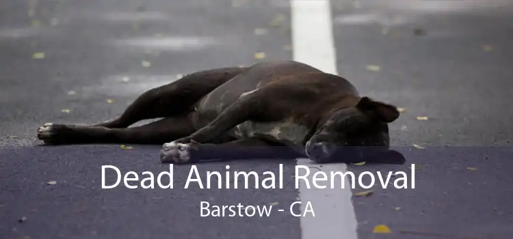 Dead Animal Removal Barstow - CA