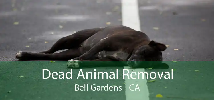 Dead Animal Removal Bell Gardens - CA