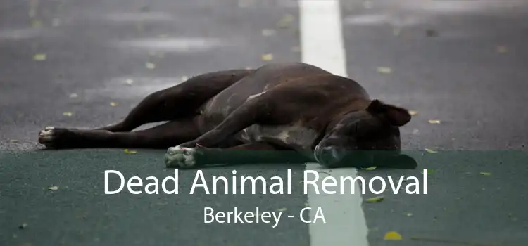 Dead Animal Removal Berkeley - CA