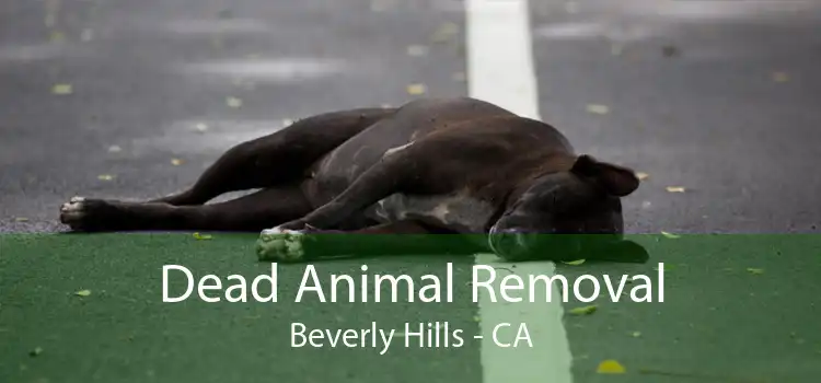 Dead Animal Removal Beverly Hills - CA