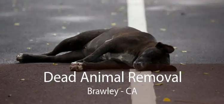 Dead Animal Removal Brawley - CA