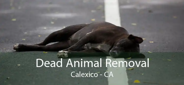 Dead Animal Removal Calexico - CA