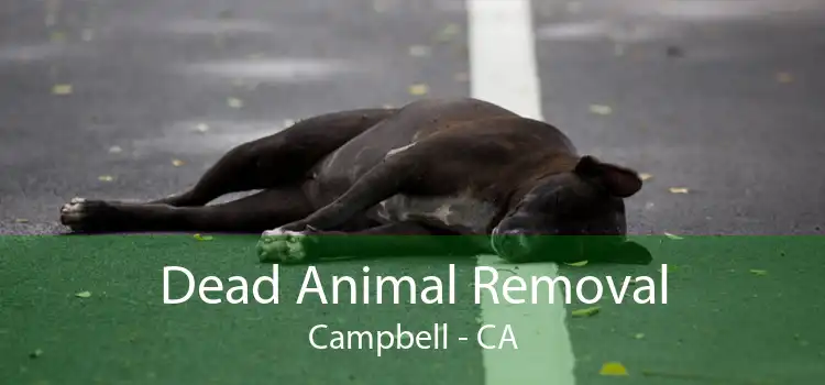 Dead Animal Removal Campbell - CA