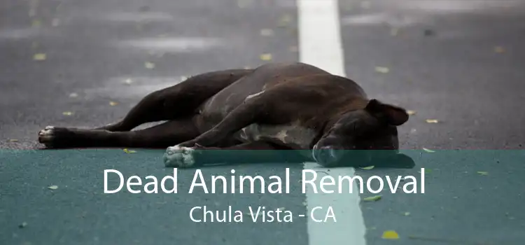 Dead Animal Removal Chula Vista - CA