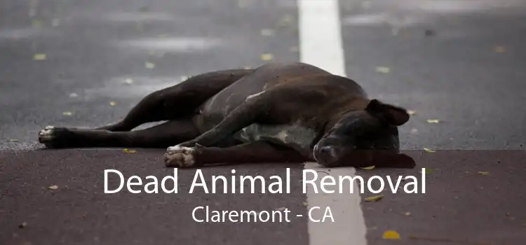 Dead Animal Removal Claremont - CA