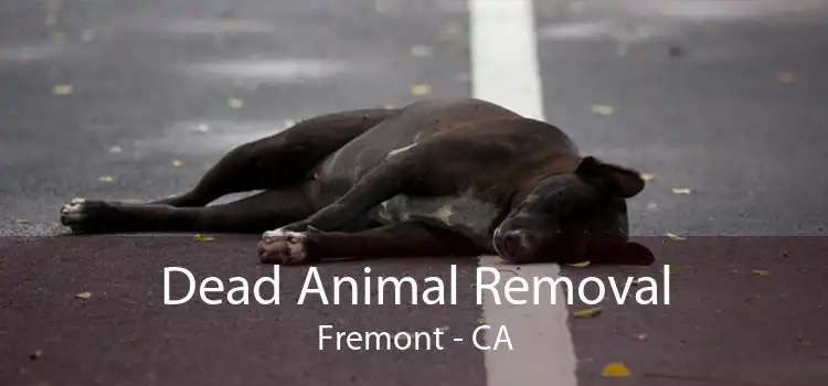 Dead Animal Removal Fremont - CA