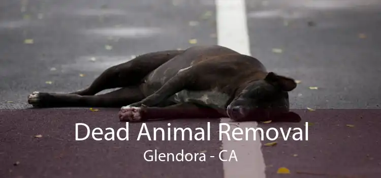 Dead Animal Removal Glendora - CA