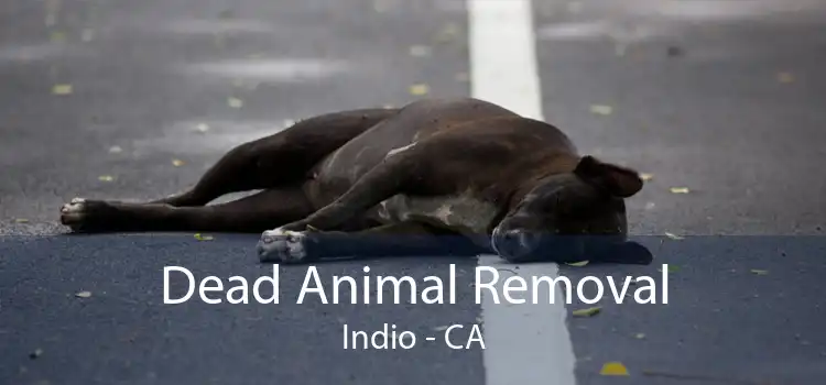 Dead Animal Removal Indio - CA