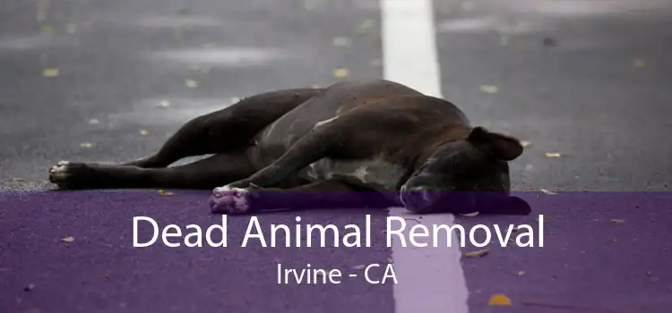 Dead Animal Removal Irvine - CA