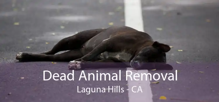 Dead Animal Removal Laguna Hills - CA