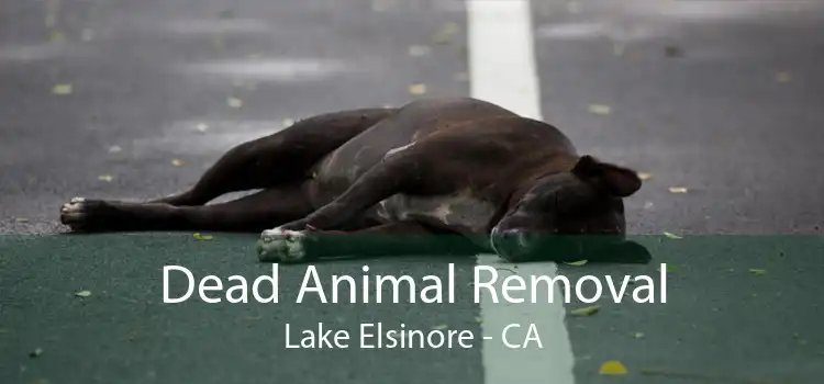 Dead Animal Removal Lake Elsinore - CA