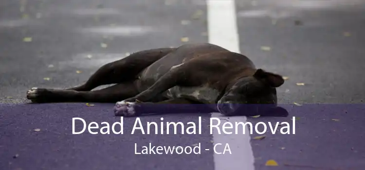 Dead Animal Removal Lakewood - CA