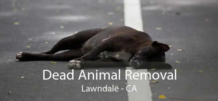 Dead Animal Removal Lawndale - CA