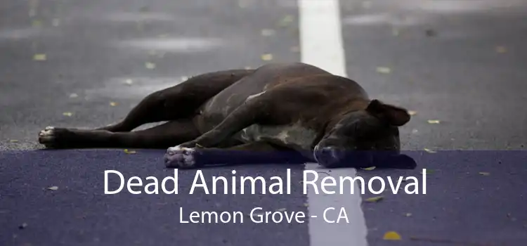 Dead Animal Removal Lemon Grove - CA